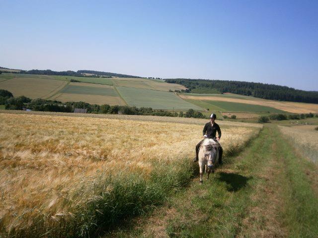 Op ruitervakantie in het mooie Sauerland?